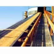 Oil Resistant Conveyor Belt